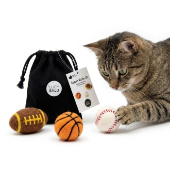 Getigerte Katze stupst einen Filz-Baseball, daneben Basketball und Fußball sowie ein schwarzer Beutel mit der Aufschrift LUCY BALU und Anhänger 'Super Balls US'.