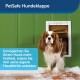 Ein Cavalier King Charles Spaniel steht an einer grünen PetSafe Hundetür mit Schnee auf dem Boden. Text: "Geben Sie Ihrem Hund mehr Freiheit."