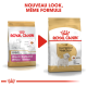 Image de deux sacs de nourriture pour chiens Royal Canin pour Terriers West Highland White, présentant un nouveau design. Le texte indique "NOUVEAU LOOK, MÊME FORMULE."