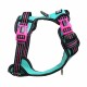 Ein farbenfrohes Hundegeschirr mit einem türkisfarbenen Grund und schwarzen sowie rosa Riemen, verstellbaren Clips und einem metallenen D-Ring zur Leinenbefestigung.