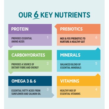 Our 6 key nutrients: Protein, Carbohydrates, Omega 3 & 6, Vitamins, Minerals, Prebiotics with their benefits.