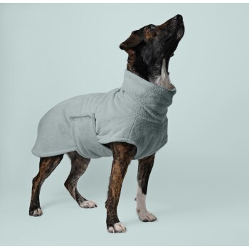 Ein gestromter Hund, der einen weichen, hellgrauen Fleece-Mantel trägt, steht vor einem blassblauen Hintergrund und schaut nach oben.
