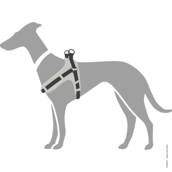 Eine graue Silhouette eines Hundes mit einem schwarz-grauen Geschirr mit zwei Befestigungsringen, vor einem weißen Hintergrund.