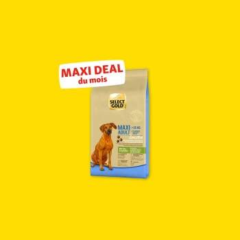 Sélectionnez le sac de nourriture pour chiens Gold Maxi Adult Sensitive pour chiens de plus de 25 kg, avec canard et pomme de terre, texte "Maxi Deal du mois".