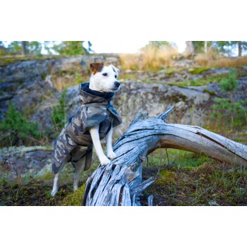 Ein kleiner Hund steht auf einem Baumstamm im Wald, trägt einen Camouflage-Mantel, mit einem konzentrierten Ausdruck und einem verschwommenen natürlichen Hintergrund.