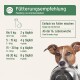 Hund hält eine Metallschale neben einem Schild mit der Aufschrift ‚Fütterungsempfehlung / Feeding recommendation‘ mit Mengenangaben 2 g, 4 g, 6 g, 8 g täglich.