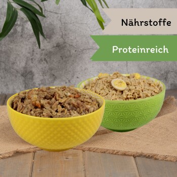 Premium-Haustierfutter in einer Edelstahlschüssel, mit zerkleinertem Huhn und Wachteleiern, beschriftet mit "Huhn mit WachtelEi."