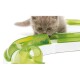 Eine neugierige graue Katze untersucht ein grünes und weißes interaktives Katzenspielzeug mit Tunneln und Öffnungen.