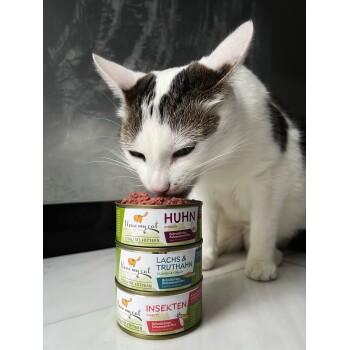 Eine weiße Katze mit braunen Flecken frisst aus einer Dose "Huhn" auf zwei anderen Dosen mit der Aufschrift "Lachs & Truthahn" und "Insekten."