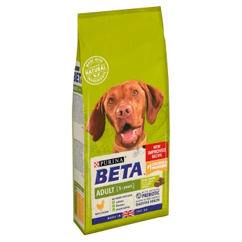 Purina Beta Adult dog food bag in green, showcasing chicken as the main ingredient and promoting no artificial additives for digestive health.