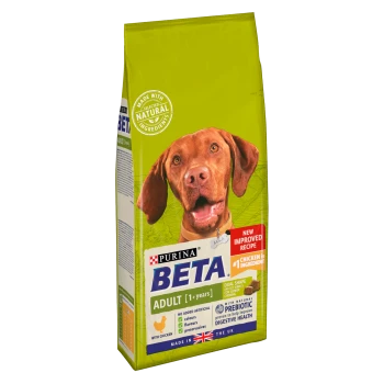 Purina Beta Adult dog food bag in green, showcasing chicken as the main ingredient and promoting no artificial additives for digestive health.