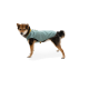 Ein Hund in einer hellblauen gesteppte Jacke steht vor einem weißen Hintergrund und zeigt seine stilvolle Haustierbekleidung.
