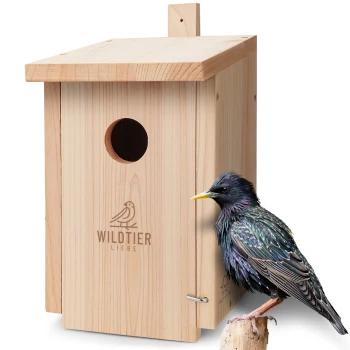 Vogelhaus kaufen Große Auswahl FRESSNAPF