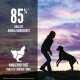 Puppy Large Breed 2x11.4 kg