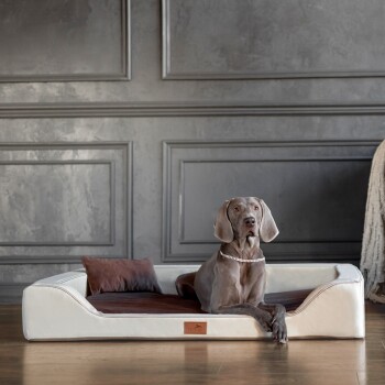 Ein schlanker grauer Hund liegt auf einem stilvollen weißen Haustierbett mit einem braunen Kissen, vor einer modernen grauen Wand.