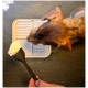 Nahaufnahme eines Hundekopfes, der einen schwarzen Löffel mit einem Klecks Sahne schnüffelt, neben einer strukturierten Futtermatte auf einer dunklen Oberfläche.