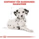 Illustration eines Dalmatiner-Welpen mit schwarzen Flecken auf einem weißen Fell, beschriftet mit 'SORTIMENT FÜR RASSEHUNDE: DALMATINER' oben.