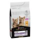 Sac de nourriture pour chatons Purina Pro Plan avec deux chatons tigrés joueurs sur le devant, étiqueté "Healthy Start" et "No. 1 Ingredient Chicken."