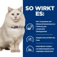 Eine flauschige weiße Katze mit blauen Augen sitzt vor einem blauen Hintergrund, der Text über die Vorteile eines Haustierprodukts zeigt.
