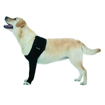 Eine Seitenansicht eines glücklichen gelben Labradors, der eine schwarze Hundeweste mit einem Logo trägt und sein verspieltes Wesen zeigt.