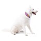 Halsband Alpha 360 Mauve Mix M