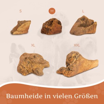 Ein verspielter Rottweiler-Welpe mit glänzendem schwarz-braunem Fell liegt auf einem gefliesten Boden, lächelt mit herausgestreckter Zunge neben einem kleinen Stück Holz.