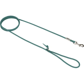 Teal hondenriem met een stevige clip en een comfortabele handgreep, weergegeven tegen een transparante achtergrond.