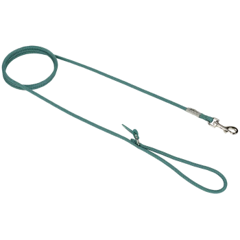 Teal dog leash with a sturdy clip and a comfortable handle, displayed against a transparent background.