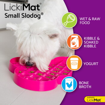 Weißer Hund, der Trockenfutter von einer pinken LickiMat Small Slodog frisst, mit Text, der Nassfutter, Trockenfutter, Joghurt und Knochenbrühe auflistet.