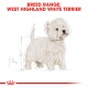 West Highland White Terrier Adult 2x3 kg