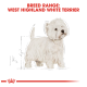 Illustration of a West Highland White Terrier with fluffy white fur, accompanied by the text "BREED RANGE: WEST HIGHLAND WHITE TERRIER."