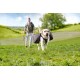 Geschirr + Rucksack Travel L
