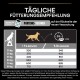 Tägliche Fütterungsempfehlung für Hunde mit Gewicht und Aktivitätslevel; Tabelle zeigt Futtermenge in Gramm pro Tag.