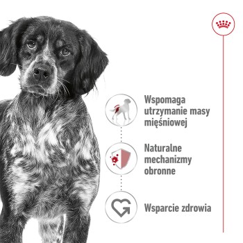 Zbliżenie zmartwionego czarno-białego psa z tekstem: "Wspiera masę mięśniową," "Naturalne mechanizmy obronne," "Wsparcie zdrowia."