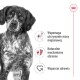 Zbliżenie zmartwionego czarno-białego psa z tekstem: "Wspiera masę mięśniową," "Naturalne mechanizmy obronne," "Wsparcie zdrowia."