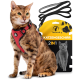 Eine Bengal-Katze mit einem roten Geschirr sitzt neben einer Verpackung mit der Aufschrift "Tierhood 2IN1 Katzengeschirr", die eine graue Katzenillustration zeigt.