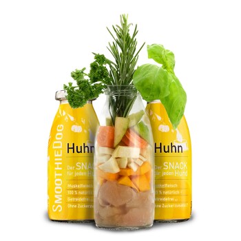 Ein glücklicher Hund leckt eine gelbe Flasche mit der Aufschrift "Smoothie Dog Huhn" in einer grasbewachsenen Umgebung.