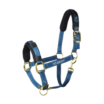 Blaues Hundegeschirr mit gepolsterten schwarzen Bereichen und goldenen Metallbeschlägen, mit dem Markennamen "Stubben" deutlich angezeigt.