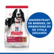 Hill's Science Plan hondenvoerzak met een zwart-witte hond, gelabeld 'Adult 1-6 Medium 11-25 kg', met tekst die energie en orgaanondersteuning promoot.