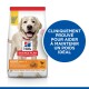 Science Plan Light Adult Large Breed avec du poulet 2x14 kg