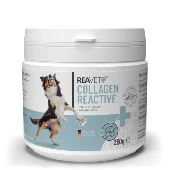 Behälter mit REAVET Collagen Reactive für Hunde, 250g, mit einem springenden Hund auf dem Etikett, mit Text auf Deutsch über Gelenkunterstützung.
