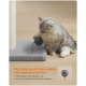 Eine verspielte graue Katze interagiert mit einem Plüschball auf einer Feder mit einer Glocke, neben einem Kratzbaum; der Text hebt ihre Merkmale hervor.