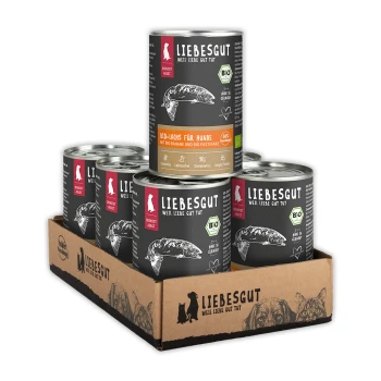 Sechs Dosen LIEBESGUT Hundefutter (Bio‑Lachs) mit Fischillustration in einer Kartonschale; auf dem Etikett steht ‚LIEBESGUT‘.
