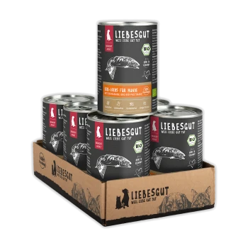 Sechs Dosen LIEBESGUT Hundefutter (Bio‑Lachs) mit Fischillustration in einer Kartonschale; auf dem Etikett steht ‚LIEBESGUT‘.