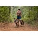 Eine Frau geht auf einem Schotterweg im Wald, begleitet von zwei verspielten Hunden, einem Corgi und einem kleinen Mischlingshund, beide mit Geschirren.