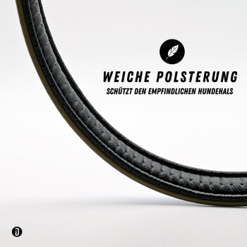 Nahaufnahme einer schwarzen geflochtenen Haustierleine mit einer glatten, abgerundeten Kante, vor einem hellen Hintergrund.