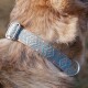 Nahaufnahme des Hundehalses mit einem stilvollen geflochtenen Halsband mit geometrischem Muster in Türkis und Beige, gesichert mit einer silbernen Schnalle.