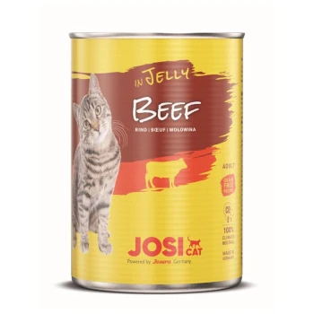Eine Dose Josi Cat Rindfleisch Katzenfutter in Gelee, mit einer grauen getigerten Katze auf dem Etikett, mit dem Hinweis "Getreidefreies Rezept" und "Erwachsene".