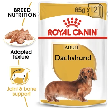 Royal Canin Dachshund adult dog food packaging, featuring a dachshund illustration, with text highlighting breed nutrition and joint support.