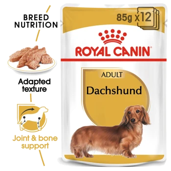 Royal Canin Dachshund adult dog food packaging, featuring a dachshund illustration, with text highlighting breed nutrition and joint support.